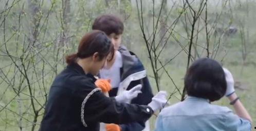 张艺兴爱情爆料视频播放,甜蜜瞬间引粉丝热议